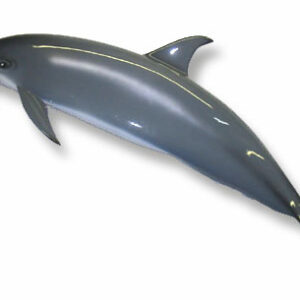 Porpoise