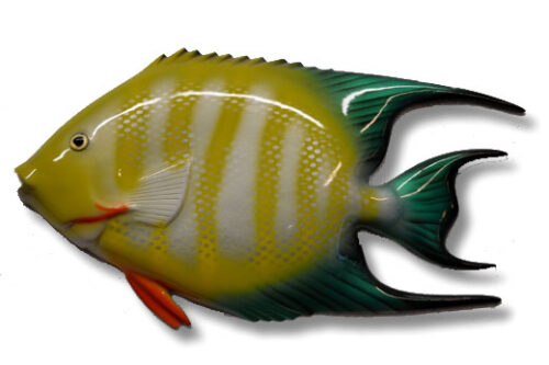 Tropical Fish Decorative