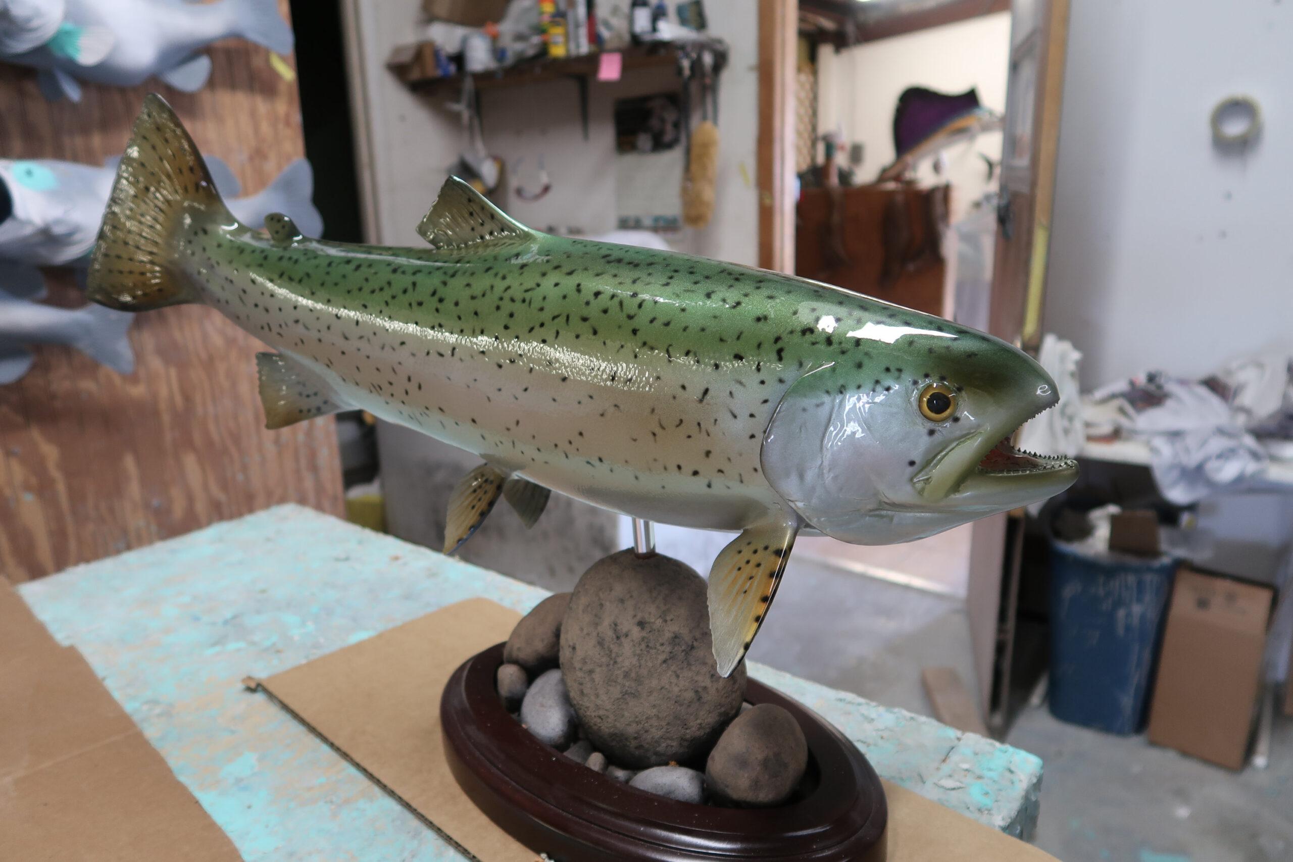 https://browntaxidermy.com/wp/wp-content/uploads/2022/06/Rainbow-trout-3-D-for-Weyland-001_b-scaled.jpg