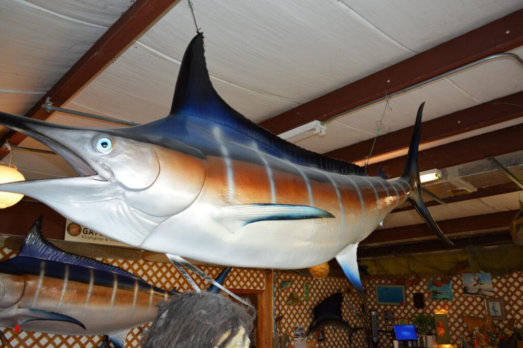 Title: Shop the Stunning Blue Marlin Full Mount 3-D at