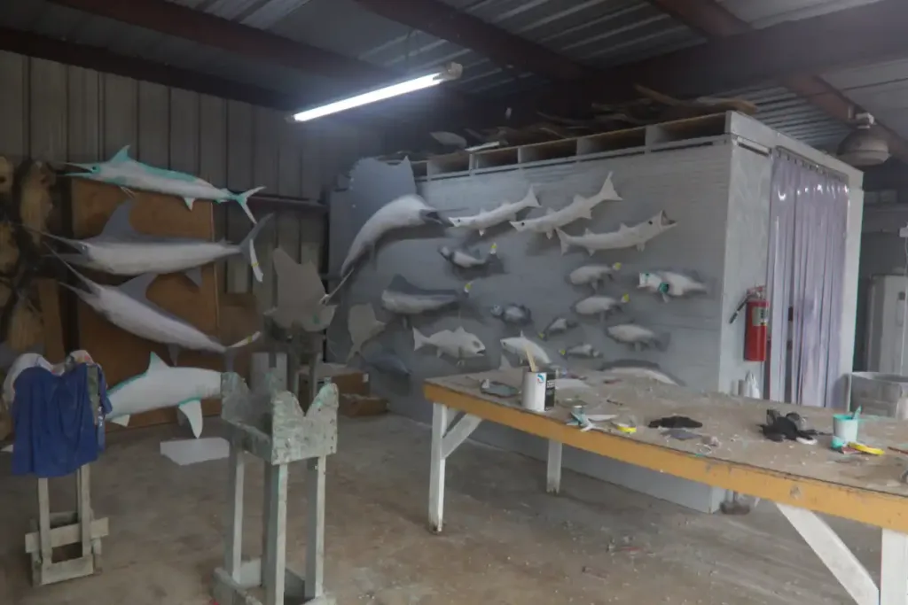 Brown's Taxidermy New Location Lab