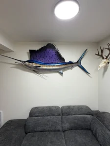 Customer Display